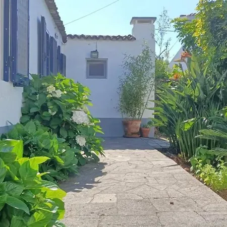 Holiday home Casa Azores Zen Ribeira Grande