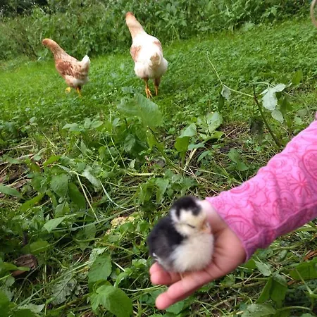 Casa Azores Zen Casa vacanze *